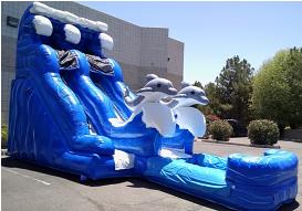 olphin Waterslide Rental